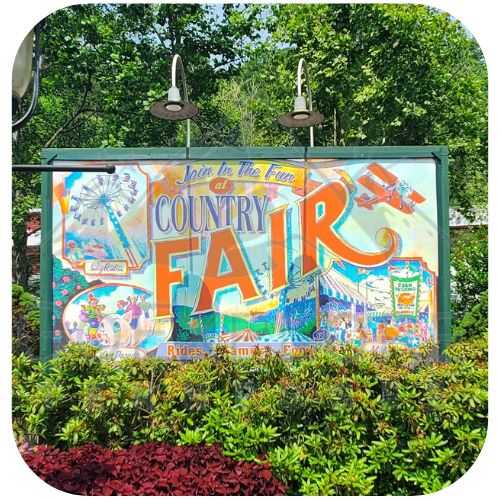 10 Tips For An Dollywood Trip With Kids!