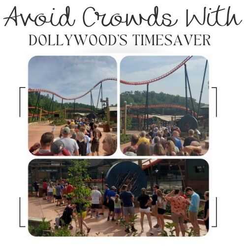 Can You Bring Food Into Dollywood? Find Out Here!