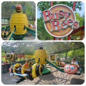 Wild Eagle: A Dollywood Experience You Don't Want To Miss!