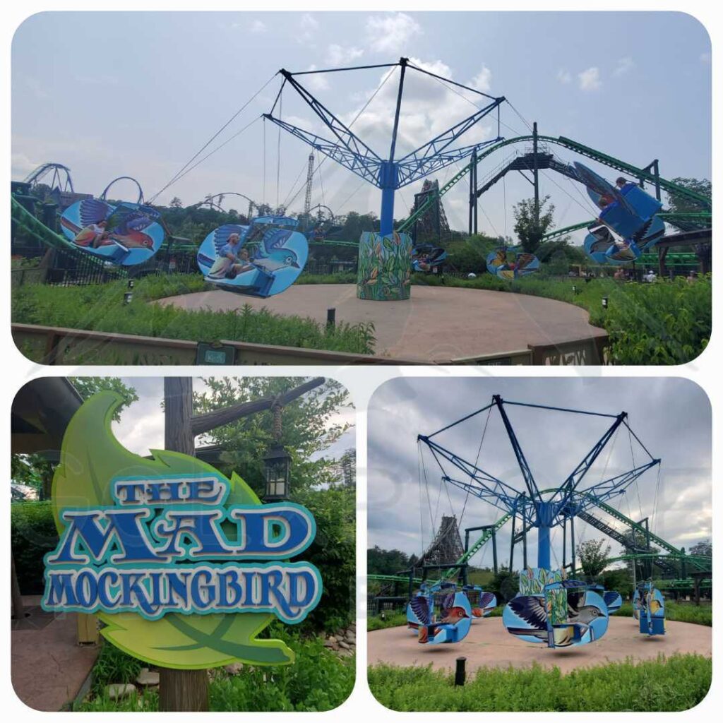 images of The Mad Mockingbird a Family Friendly Ride located in Wildwood Grove area inside of Dollywood's theme park