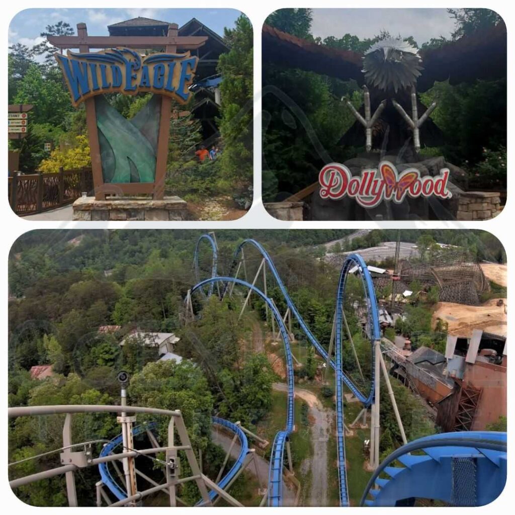 images of The Wild Eagle a Thrill Ride located in the Wilderness Pass area inside of Dollywood's theme park