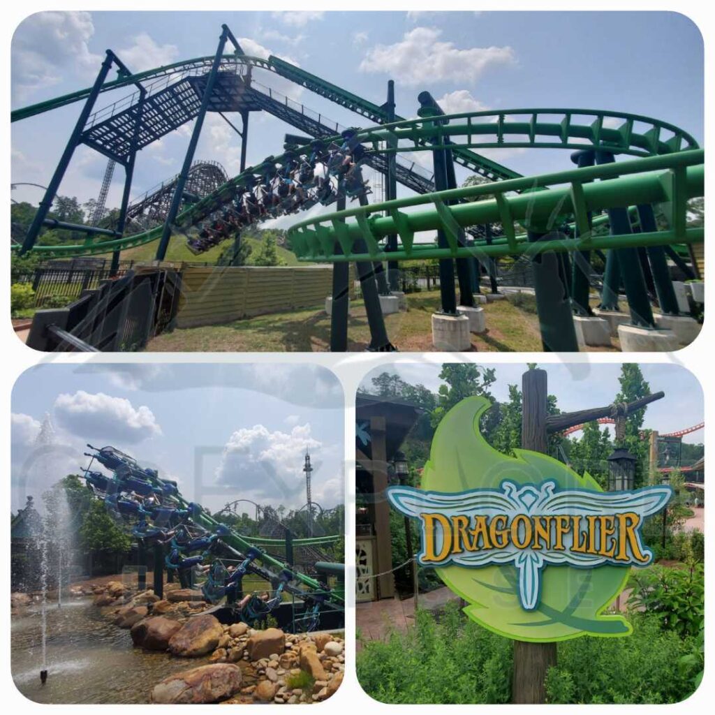 images of The Dragonflier a Family Friendly Ride located in Wildwood Grove area inside of Dollywood's theme park